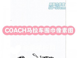 小马拉车一区二区，提供更高效、更便捷的物流服务