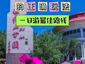 吴姐全家互换共乐的背景故事——探索不一样的家庭乐趣