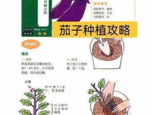 日杀农作物种植全流程攻略：从种子选择到收获的全周期管理指南