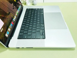 探秘欧美 MACBOOKPRO 高清游戏体验，全天免费观看，畅玩大型游戏无压力