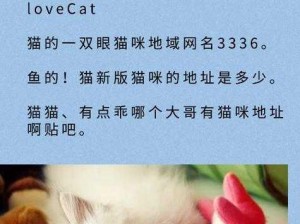 猫咪最新地域网名 3336PT3，一款专为猫咪设计的高品质地域网名，的猫咪带来独特的个性和魅力