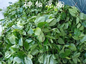 一杆大枪草全家，天然绿色无添加