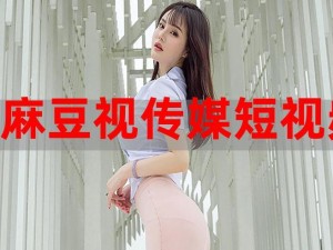 麻豆视频传媒入口：优质原创视频内容，畅享无限精彩