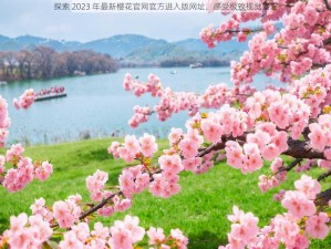 探索 2023 年最新樱花官网官方进入版网址，感受极致视觉盛宴