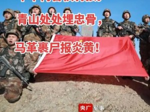 无悔华夏军心之重要性：战略决策中的核心力量与多重价值分享