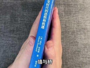 全面通缉：揭秘人物跳出困境之策略与解决方法探寻之路