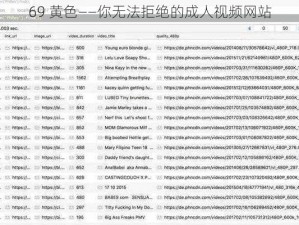 69 黄色——你无法拒绝的成人视频网站