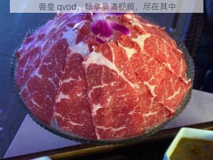 兽皇 qvod，畅享高清视频，尽在其中