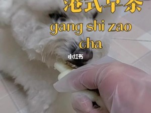 狗狗和人胶配方大全高清：详细介绍各种狗狗与人专用胶的配方，让你轻松制作