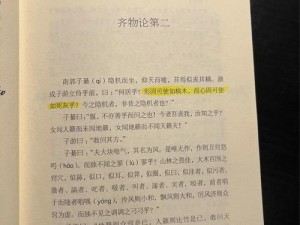 以庄子齐物论为背景的桃源深处萝卜谜语答案的神秘之旅