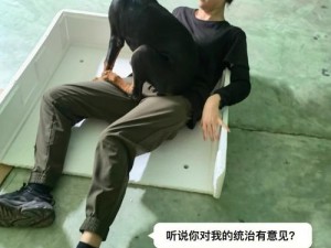 人狗大战 J 啊 vA 代码主播互曝猛料直播间好物推荐：用品