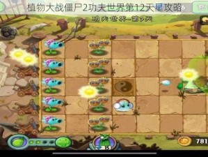 植物大战僵尸2功夫世界第12天星攻略