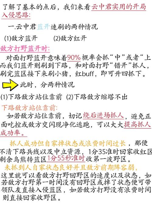 王者荣耀打野实战攻略：深度解析打野英雄实用技巧与战术应用