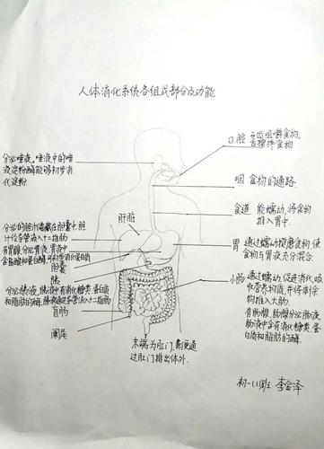 看镜子里我们的结合的地方科学，呈现你未曾见过的人体奥秘