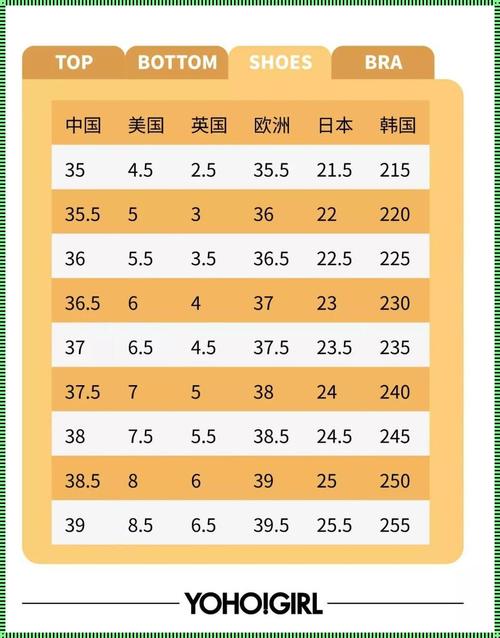 亚洲尺码 XL 是欧洲尺码的标准，适合身高 175-180cm，体重 70-75kg 的人士