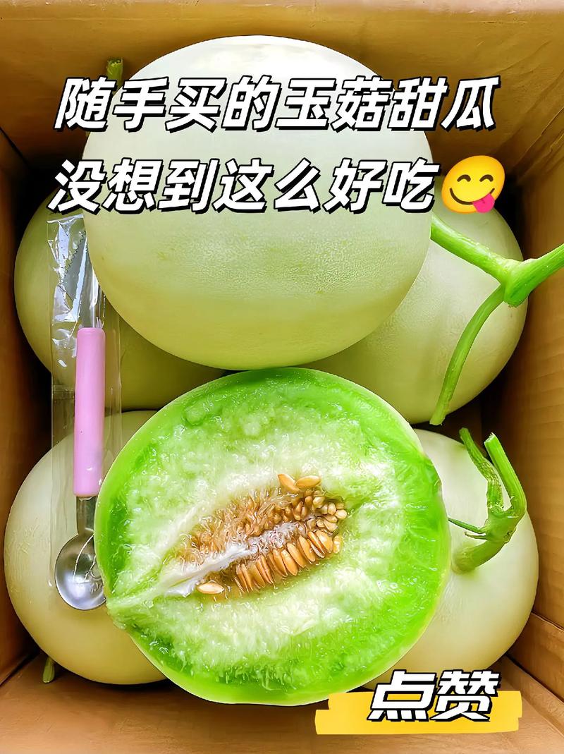 51 吃瓜今日吃瓜必吃，甄选全球优质水果，带来甜蜜享受