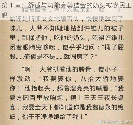 第 1 章：舒适与功能完美结合的奶头被农民工吸