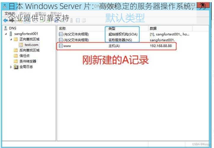 日本 Windows Server 片：高效稳定的服务器操作系统，为企业提供可靠支持