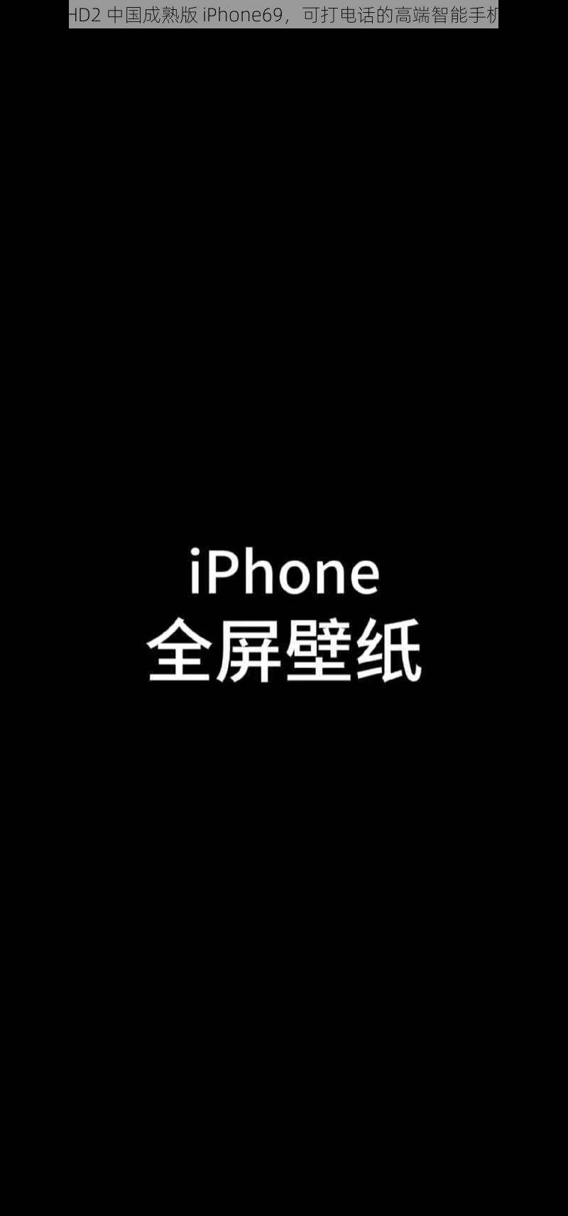 HD2 中国成熟版 iPhone69，可打电话的高端智能手机