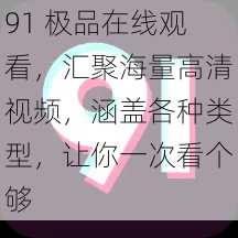 91 极品在线观看，汇聚海量高清视频，涵盖各种类型，让你一次看个够