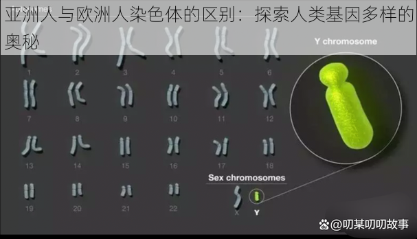 亚洲人与欧洲人染色体的区别：探索人类基因多样的奥秘