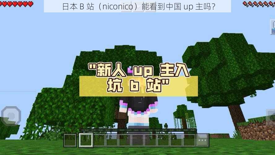 日本 B 站（niconico）能看到中国 up 主吗？