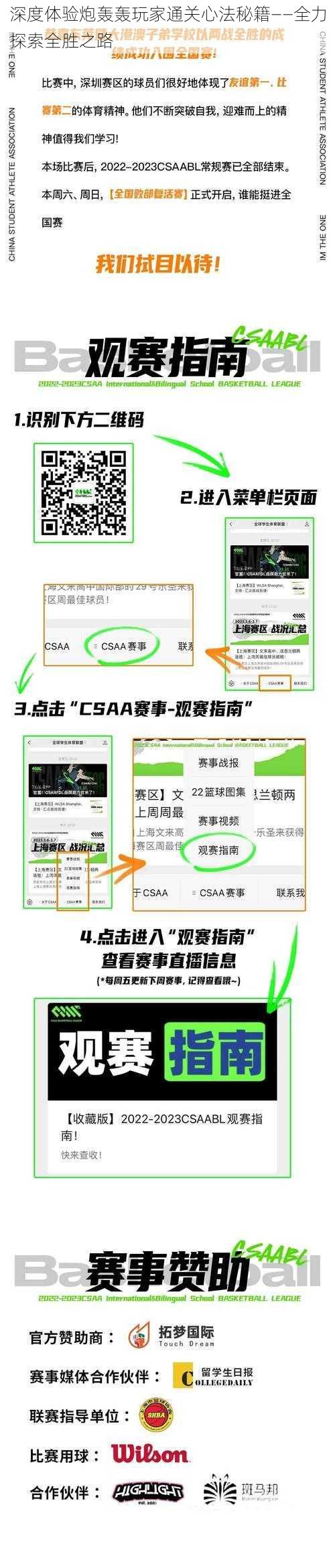 深度体验炮轰轰玩家通关心法秘籍——全力探索全胜之路