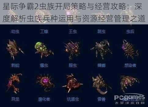 星际争霸2虫族开局策略与经营攻略：深度解析虫族兵种运用与资源经营管理之道