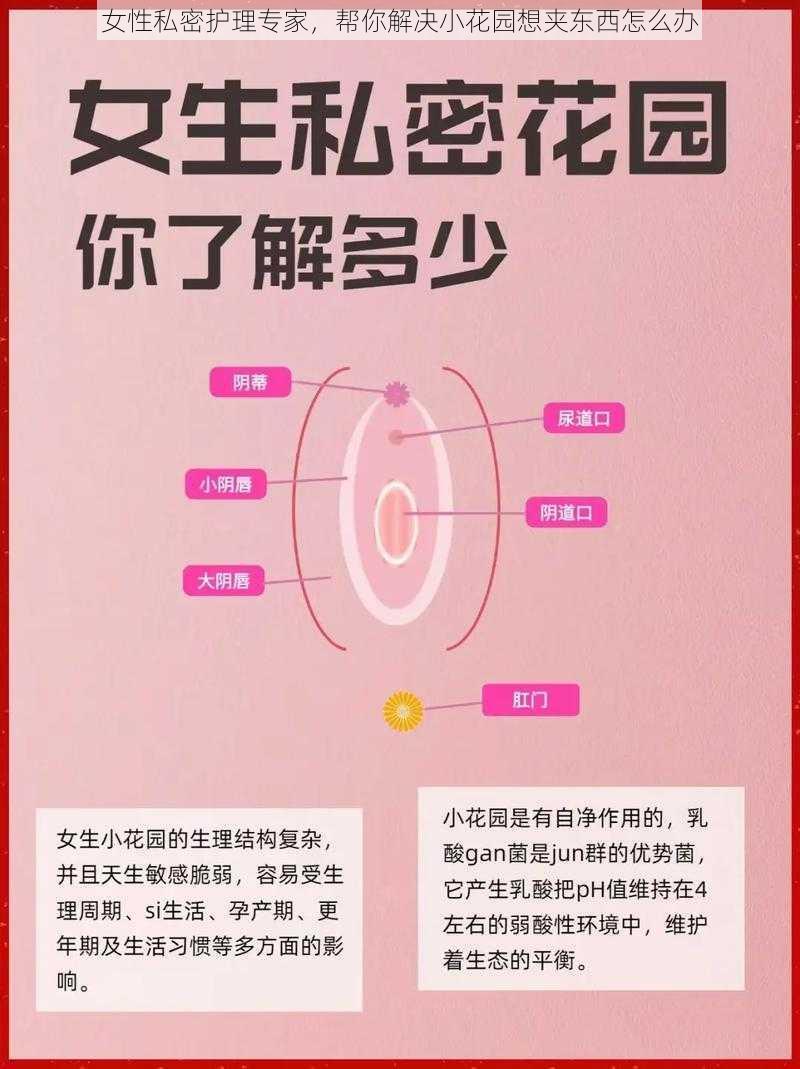 女性私密护理专家，帮你解决小花园想夹东西怎么办